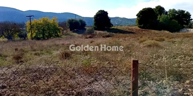 Αγροτεμάχιο 6509τ.μ. προς πώληση φωτογραφία 1
