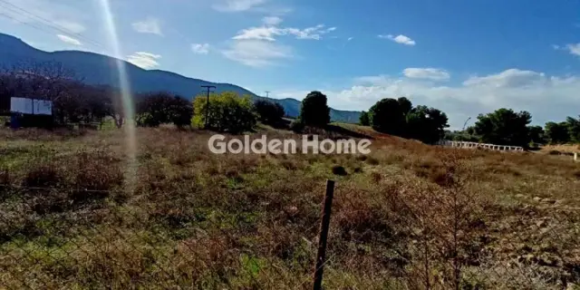 Αγροτεμάχιο 6509τ.μ. προς πώληση φωτογραφία 2