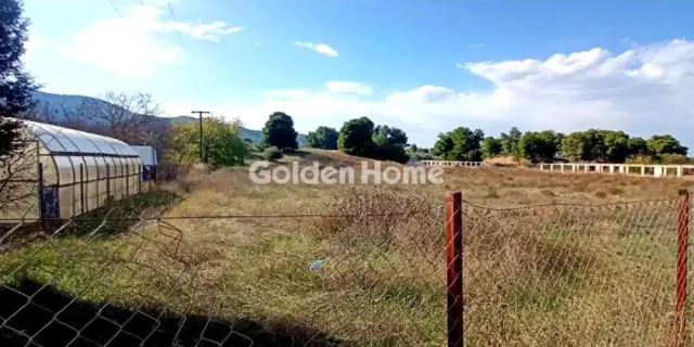 Αγροτεμάχιο 6509τ.μ. προς πώληση φωτογραφία 3