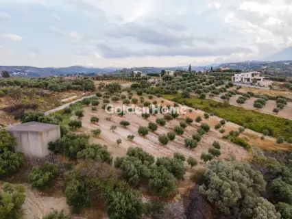 Επαγγελ. Οικόπεδο 6200τ.μ. προς πώληση φωτογραφία 4