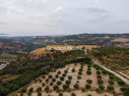 Επαγγελ. Οικόπεδο 6200τ.μ. προς πώληση φωτογραφία 5
