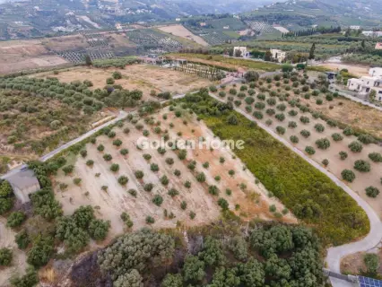 Επαγγελ. Οικόπεδο 6200τ.μ. προς πώληση φωτογραφία 6