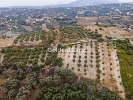 Επαγγελ. Οικόπεδο 6200τ.μ. προς πώληση φωτογραφία 9