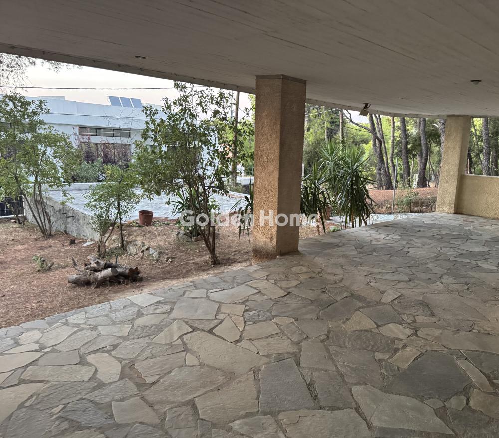 Διαμέρισμα στην Ροδόπολη, Ροδόπολη — Φωτογραφία 29 από 35