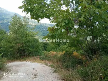 住宅 8200m<sup>2</sup> for sale photo 3