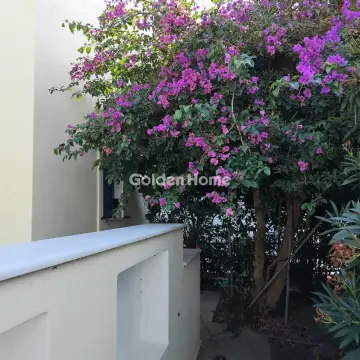 Μονοκατοικία 58τ.μ. προς πώληση φωτογραφία 14