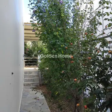 Μονοκατοικία 58τ.μ. προς πώληση φωτογραφία 15