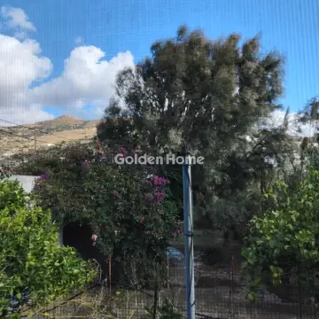 Μονοκατοικία 58τ.μ. προς πώληση φωτογραφία 19