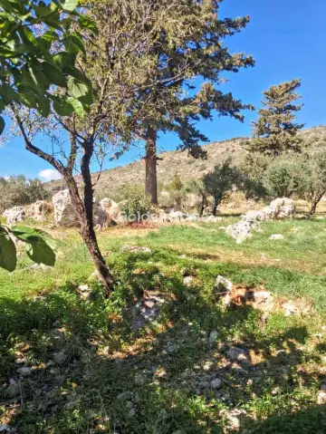 Μονοκατοικία 90τ.μ. προς πώληση φωτογραφία 5683470