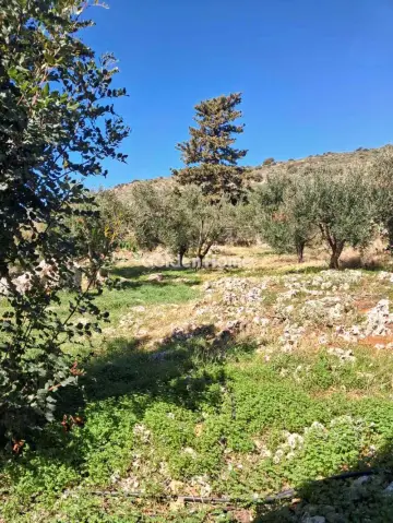 Μονοκατοικία 90τ.μ. προς πώληση φωτογραφία 13