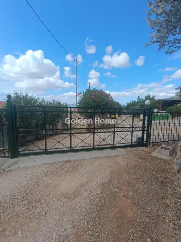 Apartment 68m<sup>2</sup> for rent photo 11