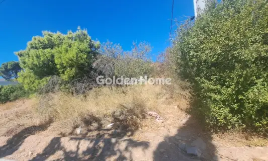 Οικιστικό 776τ.μ. προς πώληση φωτογραφία 8