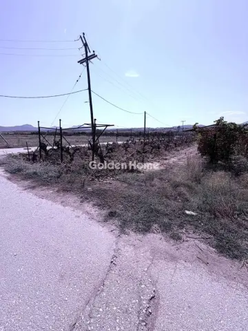 Parcel 4100m<sup>2</sup> for sale photo 4