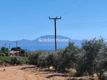 Residential 4200m<sup>2</sup> for sale photo 5634598