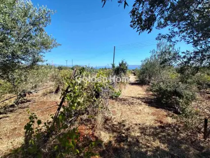 Residential 4200m<sup>2</sup> for sale photo 5634601
