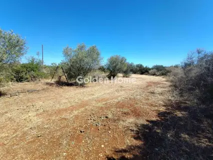Residential 4200m<sup>2</sup> for sale photo 5634604