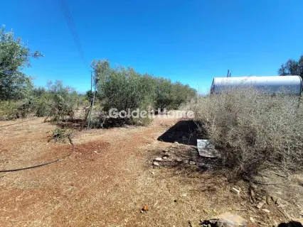 Residential 4200m<sup>2</sup> for sale photo 5634608