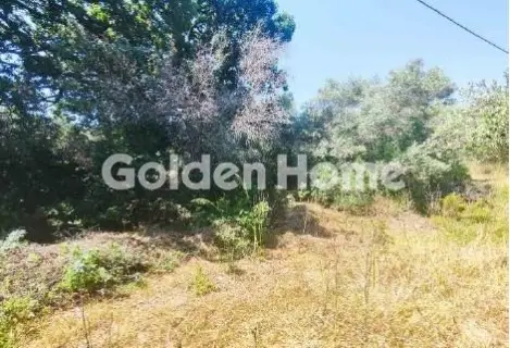 Αγροτεμάχιο 1259τ.μ. προς πώληση φωτογραφία 5629882