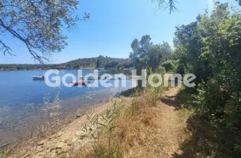 Αγροτεμάχιο 1259τ.μ. προς πώληση φωτογραφία 5629881