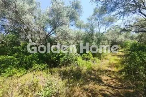 Αγροτεμάχιο 1675τ.μ. προς πώληση φωτογραφία 5630026