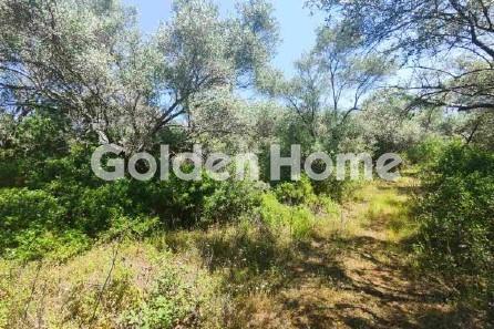 Αγροτεμάχιο 1675τ.μ. προς πώληση φωτογραφία προβολής