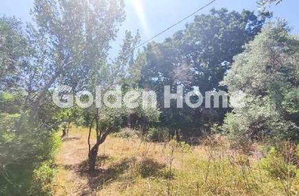 Αγροτεμάχιο 2102τ.μ. προς πώληση φωτογραφία προβολής