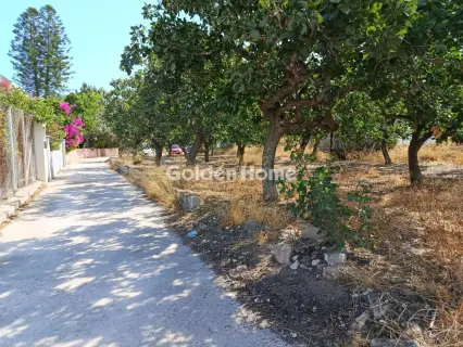 Οικιστικό 933τ.μ. προς πώληση φωτογραφία 4