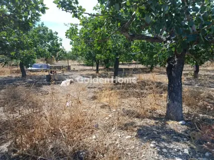 Οικιστικό 933τ.μ. προς πώληση φωτογραφία 2