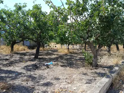 Οικιστικό 466τ.μ. προς πώληση φωτογραφία 2