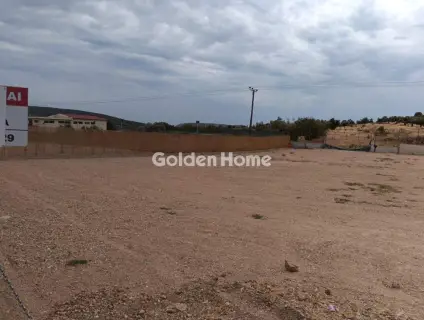 Αγροτεμάχιο 5000τ.μ. προς ενοικίαση φωτογραφία 5631092