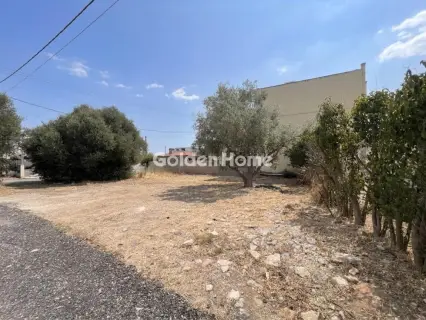 Residential 318m<sup>2</sup> for sale photo 5633018