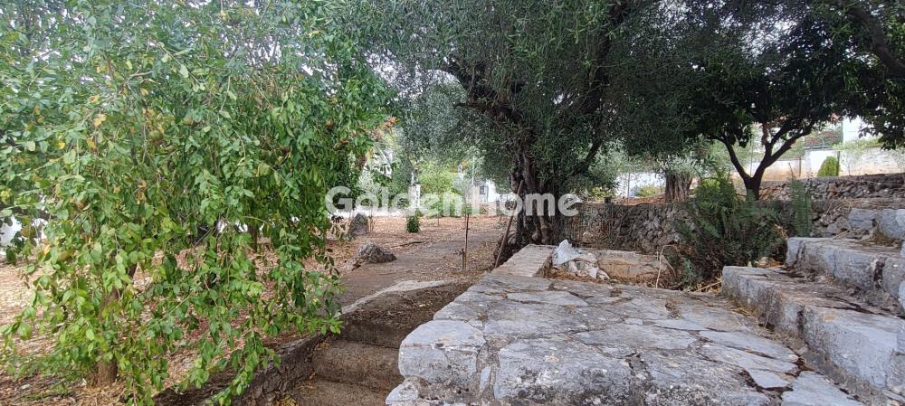 Μονοκατοικία στην Βρύση, Κονίστρες — Φωτογραφία 29 από 40