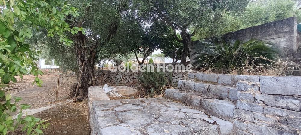 Μονοκατοικία στην Βρύση, Κονίστρες — Φωτογραφία 34 από 40
