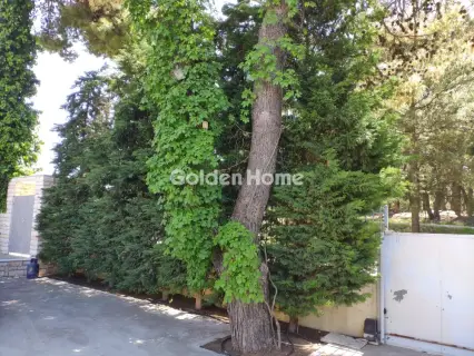 House 600m<sup>2</sup> for sale photo 5667445