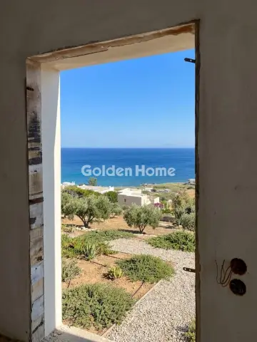 Οικιστικό 5363τ.μ. προς πώληση φωτογραφία 11