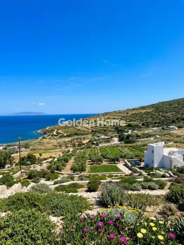 Οικιστικό 5363τ.μ. προς πώληση φωτογραφία 17