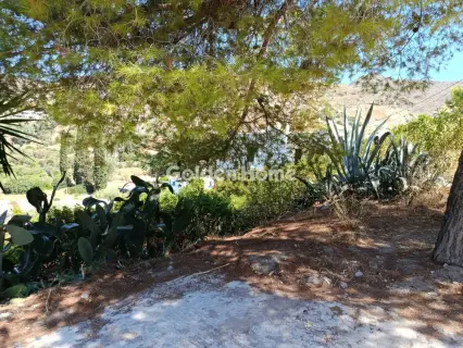 Οικιστικό 1041τ.μ. προς πώληση φωτογραφία 5637996
