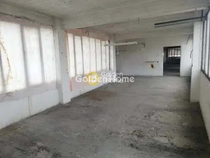 Independent Building 1330m<sup>2</sup> for sale photo 5633241