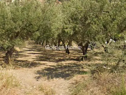 Οικιστικό 616τ.μ. προς πώληση φωτογραφία 1