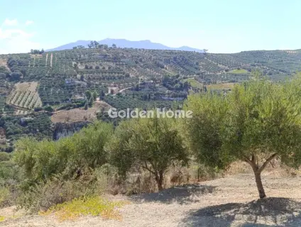 Residential 4200m<sup>2</sup> for sale photo 4