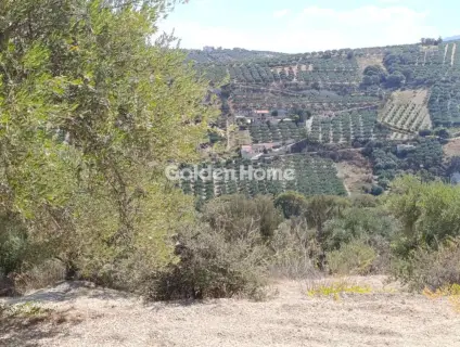 Residential 4200m<sup>2</sup> for sale photo 3