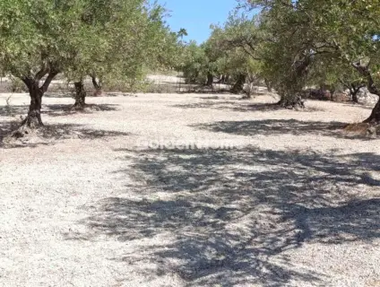 Residential 4200m<sup>2</sup> for sale photo 1