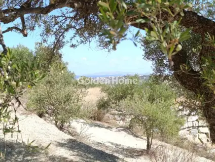 Residential 4200m<sup>2</sup> for sale photo 2