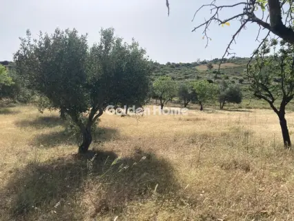 Residential 4127m<sup>2</sup> for sale photo 5647535