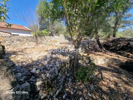 Residential 607m<sup>2</sup> for sale photo 3