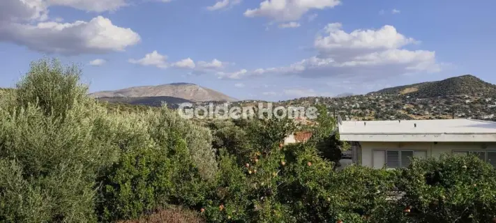 Μονοκατοικία 134τ.μ. προς πώληση φωτογραφία 16