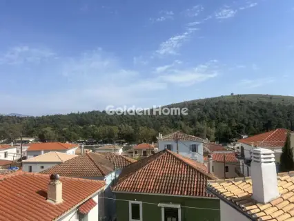 Μονοκατοικία 210τ.μ. προς πώληση φωτογραφία 4