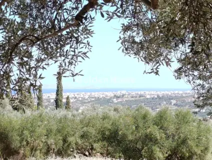 Residential 4060m<sup>2</sup> for sale photo 4