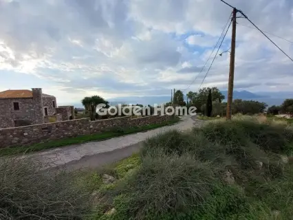 Οικιστικό 1000τ.μ. προς πώληση φωτογραφία 5642731