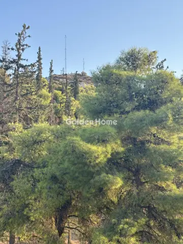 顶楼 80m<sup>2</sup> for rent photo 26
